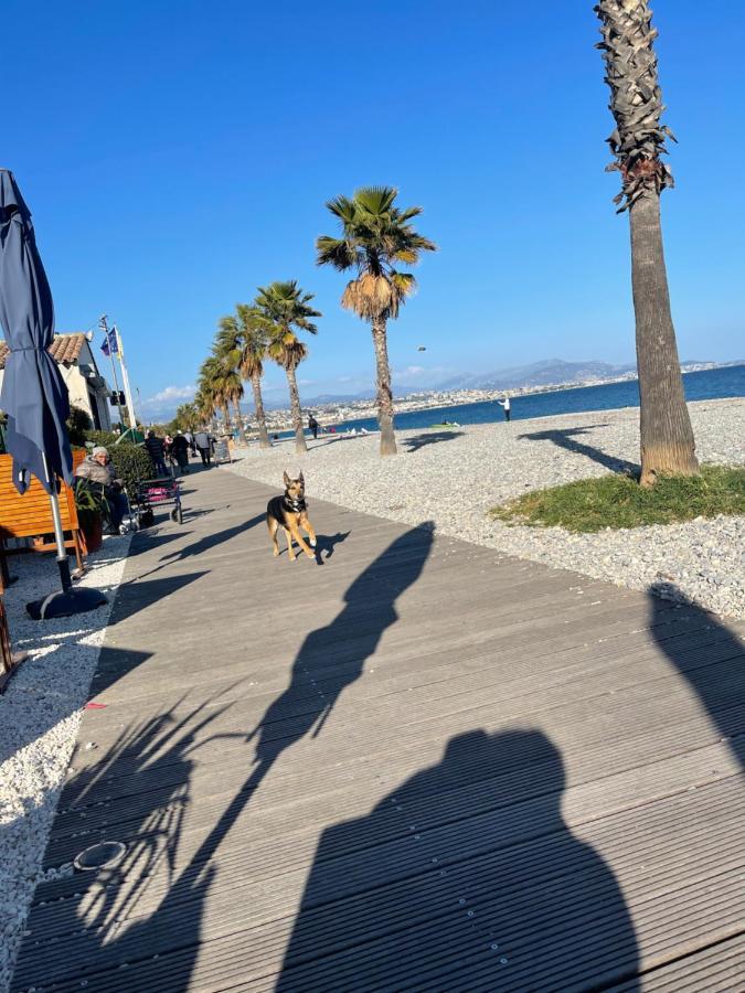 Villeneuve Loubet Plage- Entre Nice Et Cannes المظهر الخارجي الصورة
