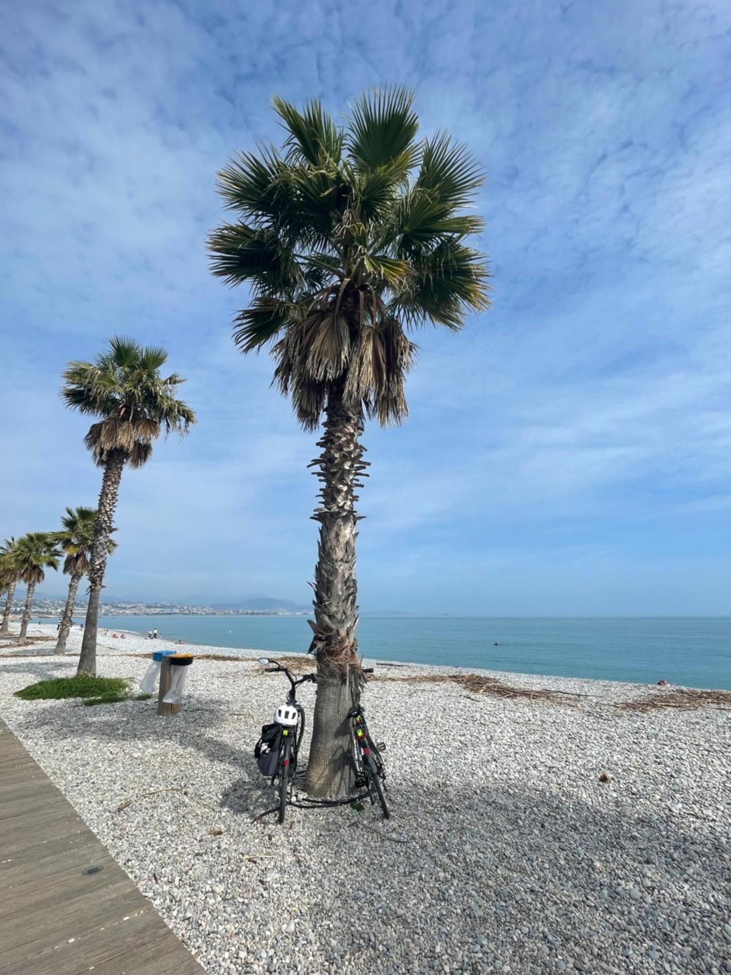 Villeneuve Loubet Plage- Entre Nice Et Cannes المظهر الخارجي الصورة