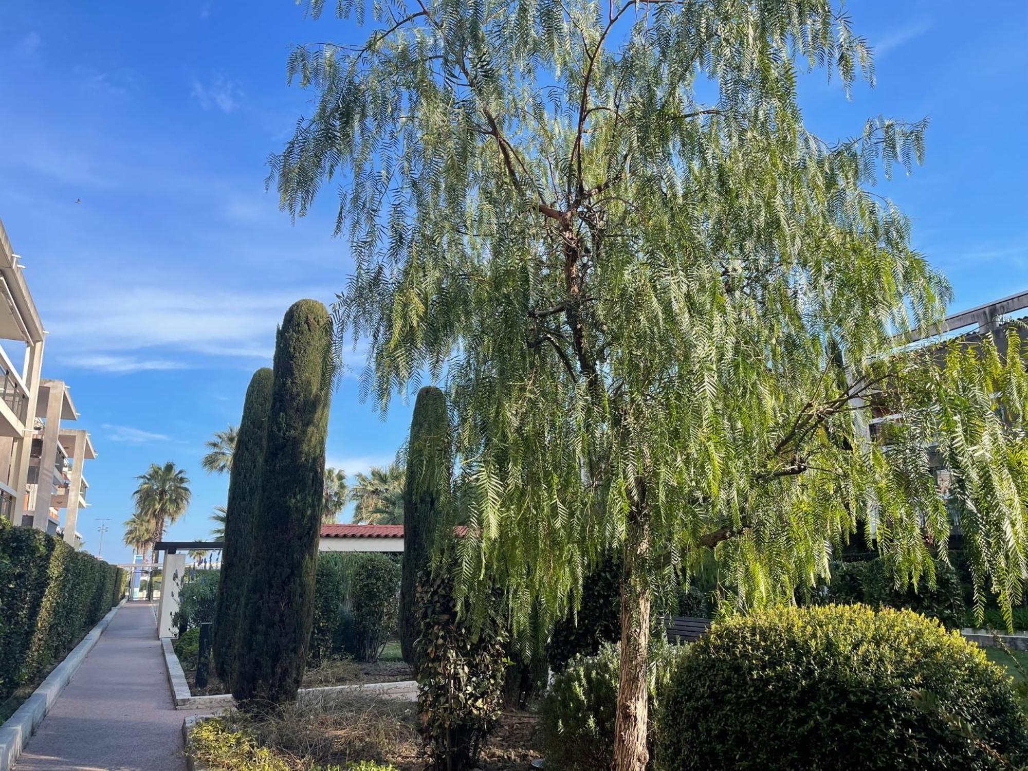 Villeneuve Loubet Plage- Entre Nice Et Cannes المظهر الخارجي الصورة