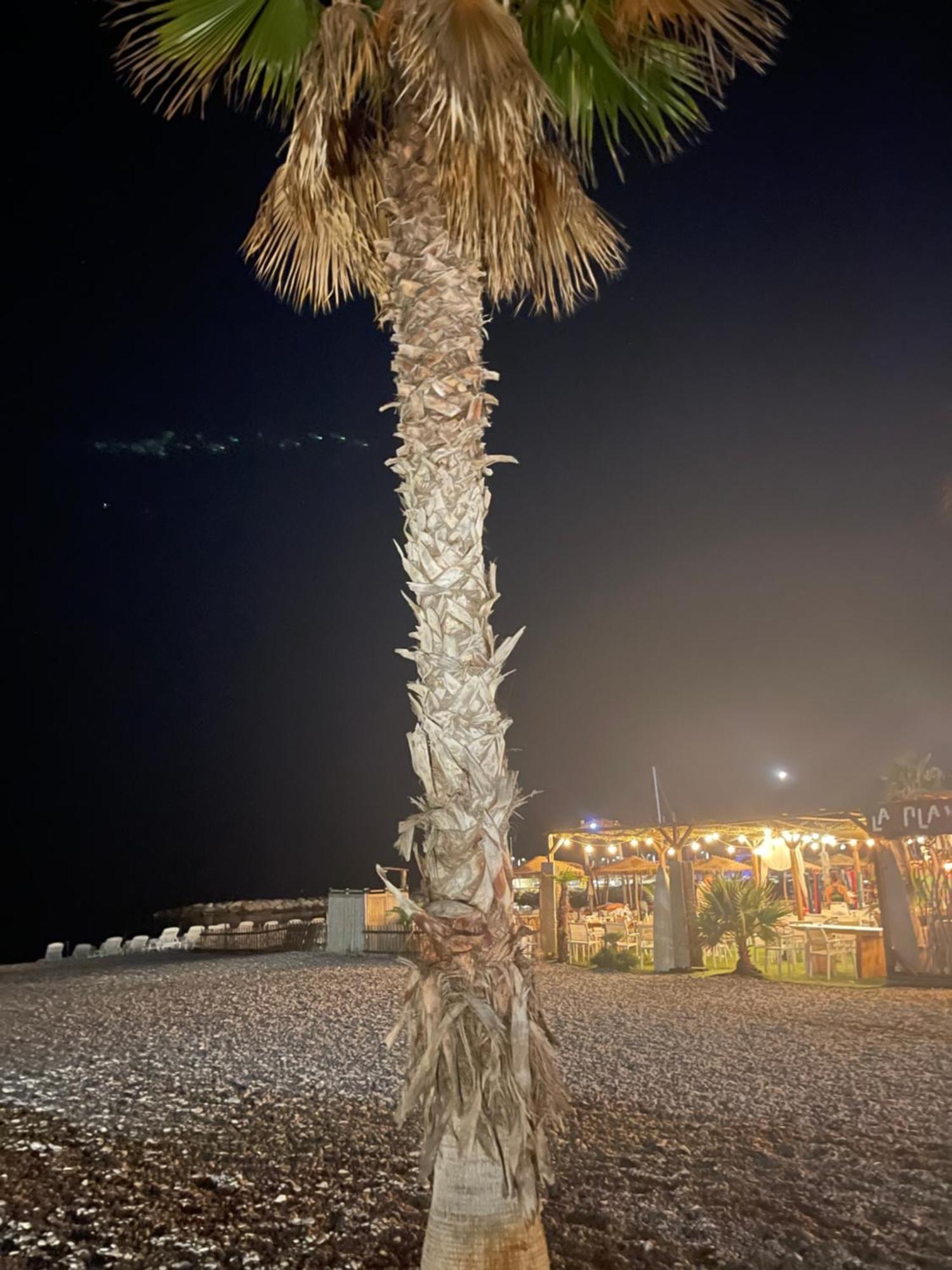 Villeneuve Loubet Plage- Entre Nice Et Cannes المظهر الخارجي الصورة