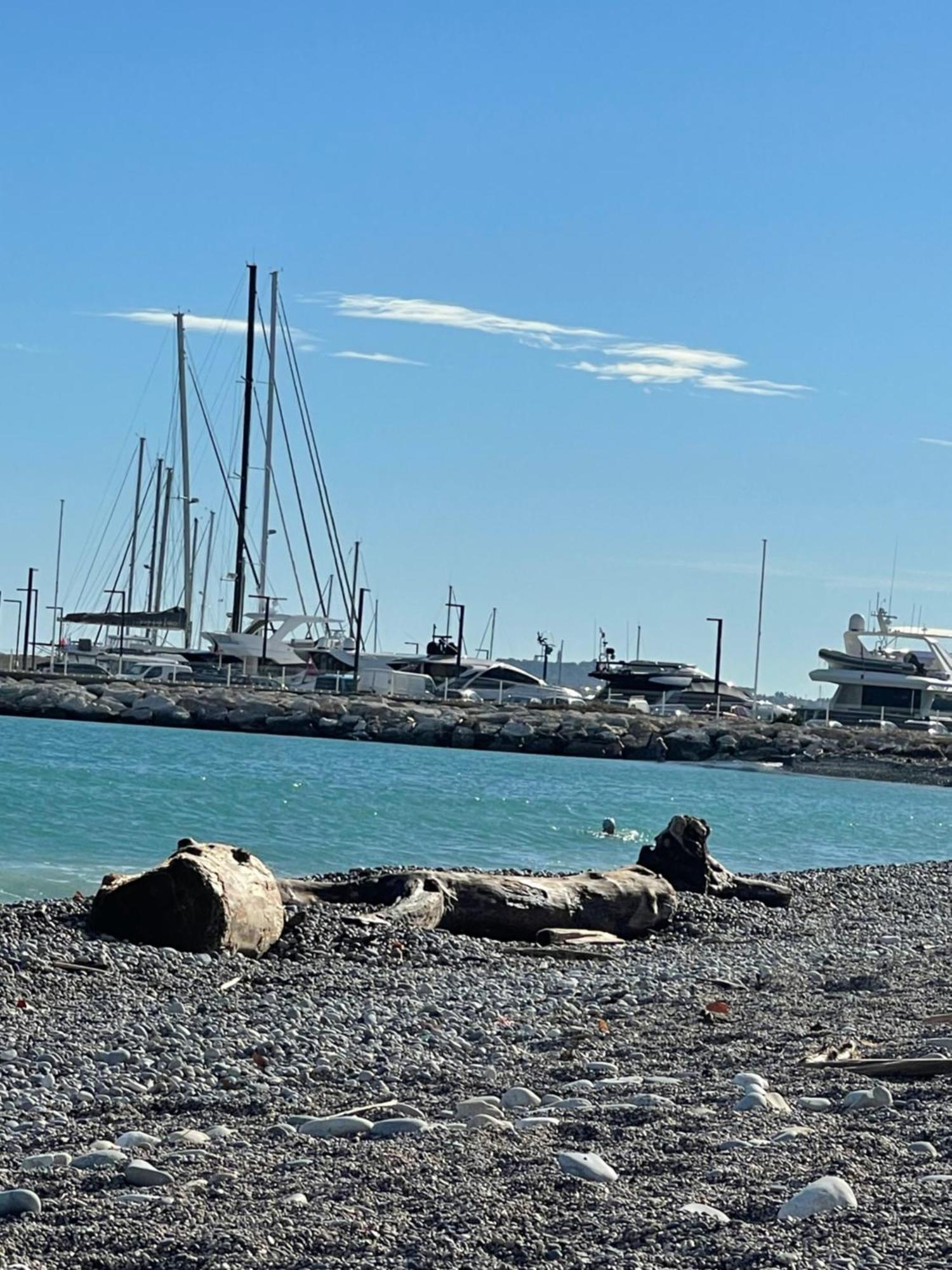 Villeneuve Loubet Plage- Entre Nice Et Cannes المظهر الخارجي الصورة
