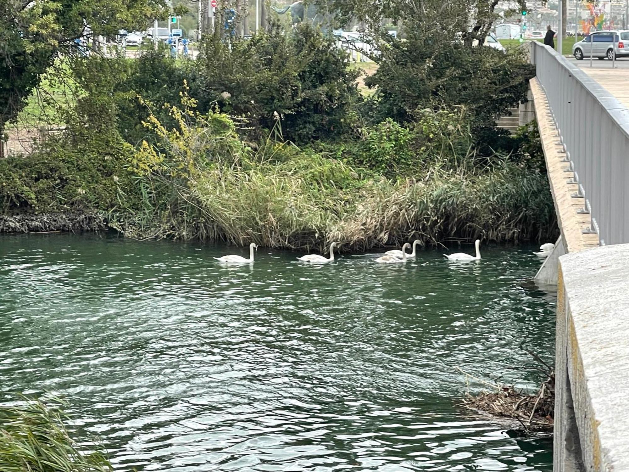 Villeneuve Loubet Plage- Entre Nice Et Cannes المظهر الخارجي الصورة